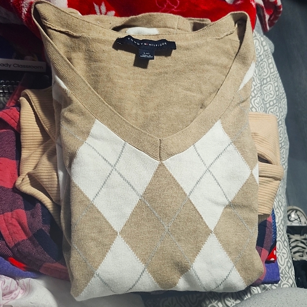 Thin Sweater (Large) - image 1